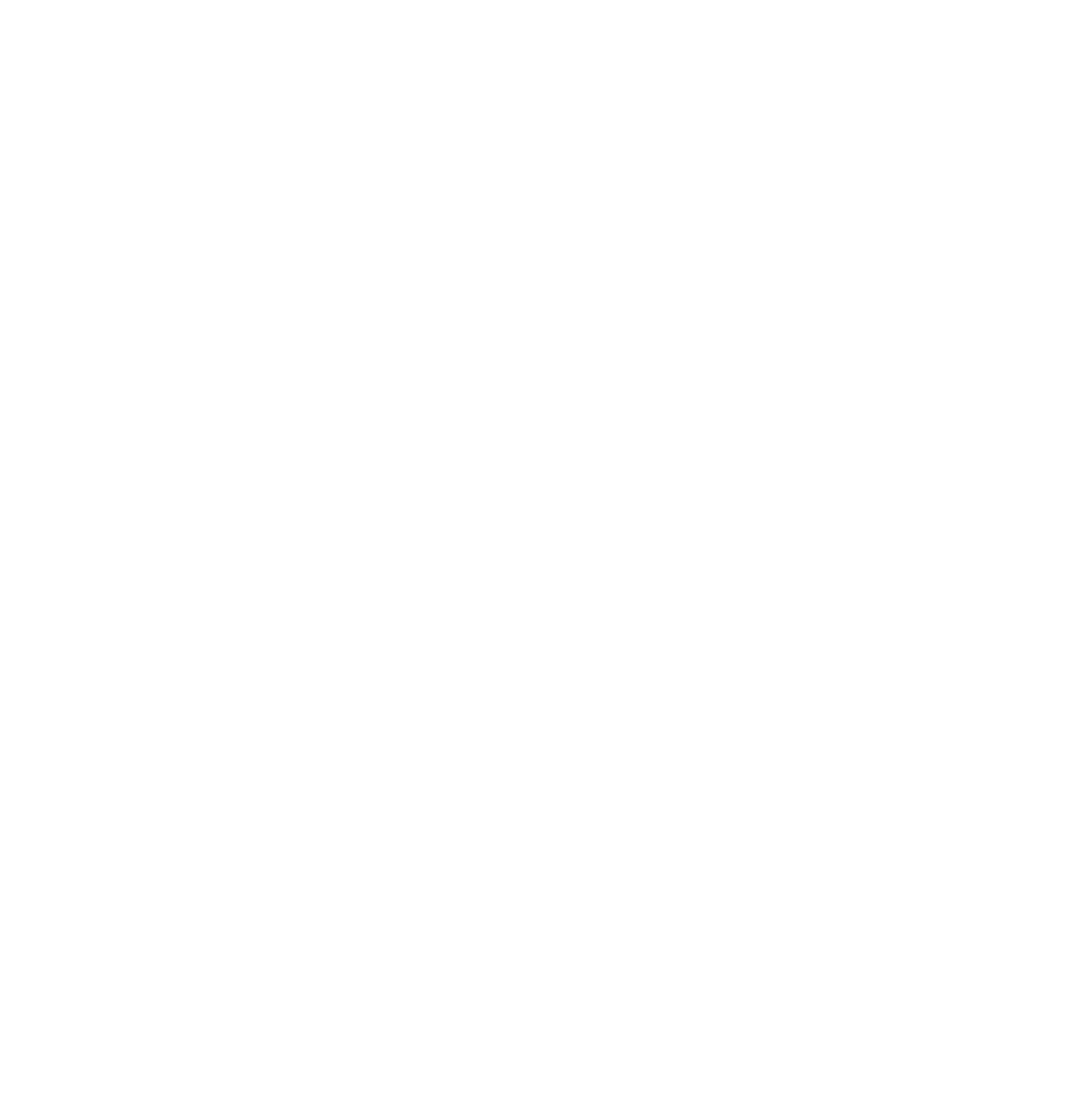 Nargiza Beauty Lounge logosu